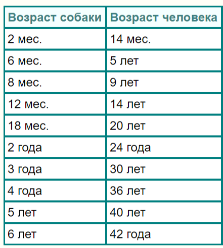 Возраст собак