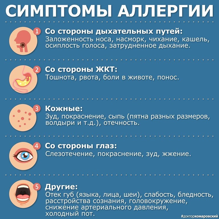 Аллергия на хомяков джунгариков: описание, симптомы, лечение