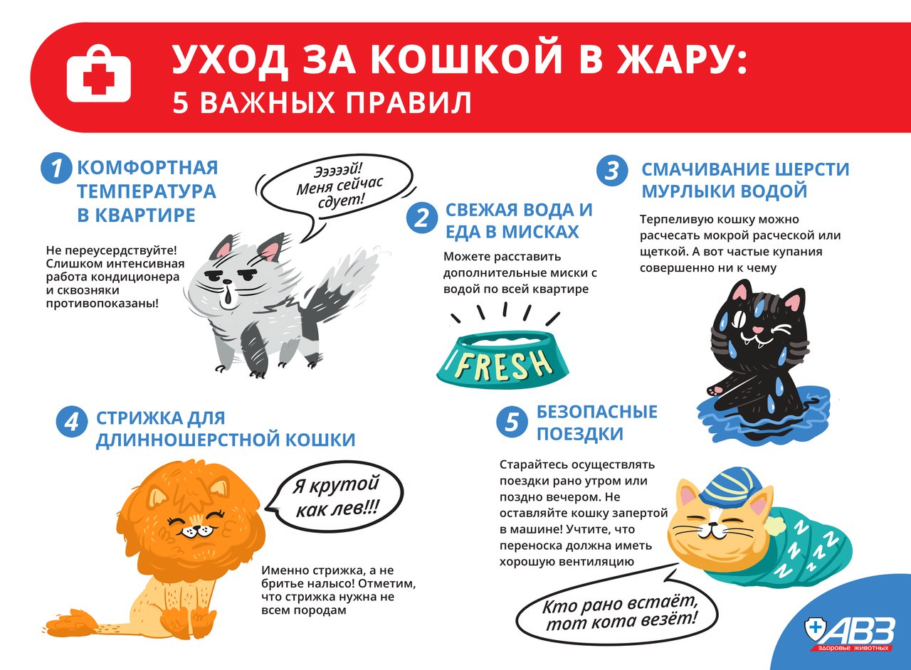 Пациентам: первая помощь при перегреве