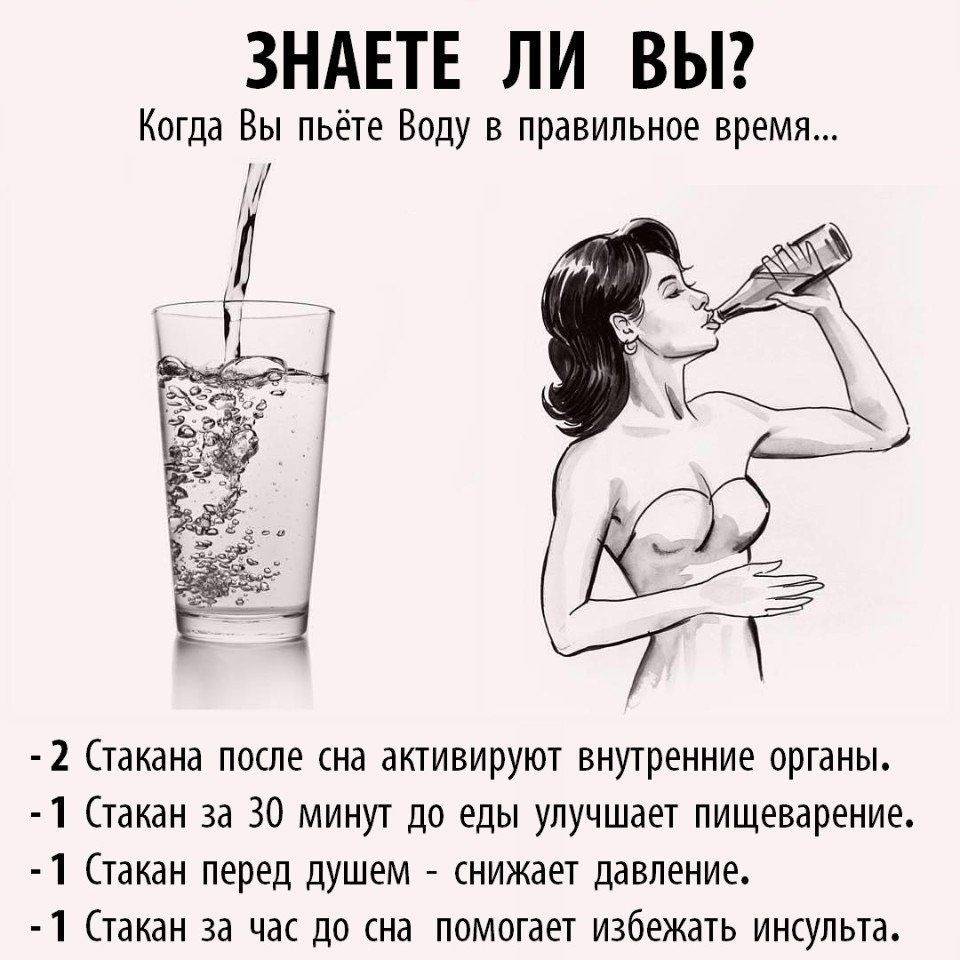 Морская свинка не пьёт воду: почему не пьёт из поилки и что нужно делать, чтобы устранить причину