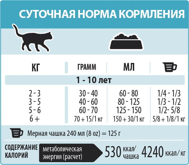 Сколько сухого или влажного корма нужно давать кошке в день: расчет суточной порции, физиологические особенности кошки, когда следует убавить или прибавить еды
