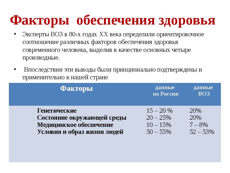 Порода русский спаниель: характеристики, содержание, кормление