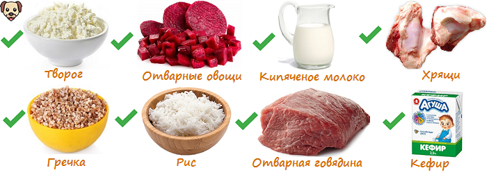 Какие крупы полезны и можно давать собакам — рецепты приготовления