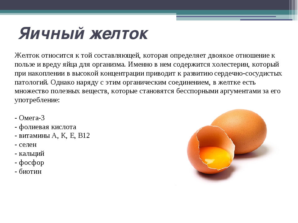 Можно ли собаке давать яйца (сырые, вареные) | «дай лапу»
