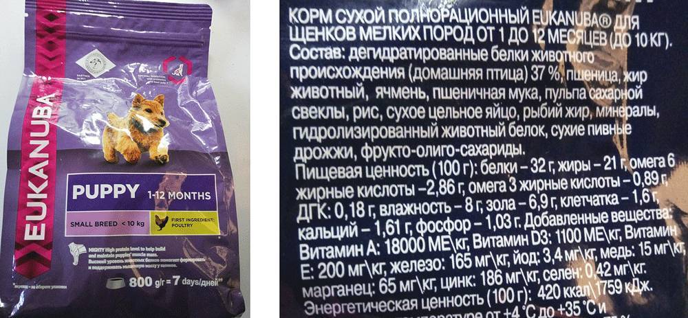 Eukanuba: корм для кошек высочайшего качества