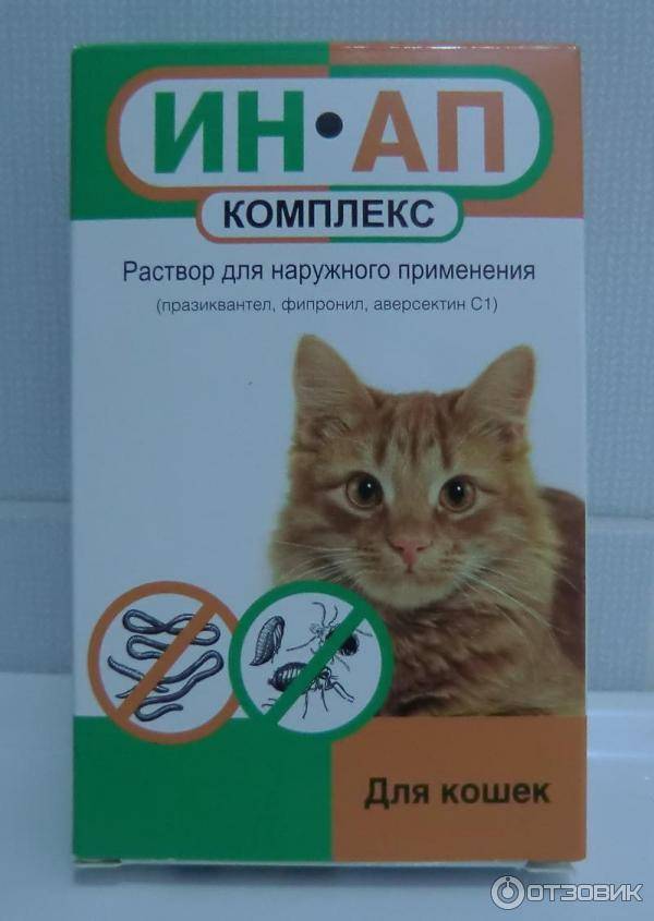 Ин-ап комплекс для кошек и собак: инструкция, отзывы
ин-ап комплекс для кошек и собак: инструкция, отзывы