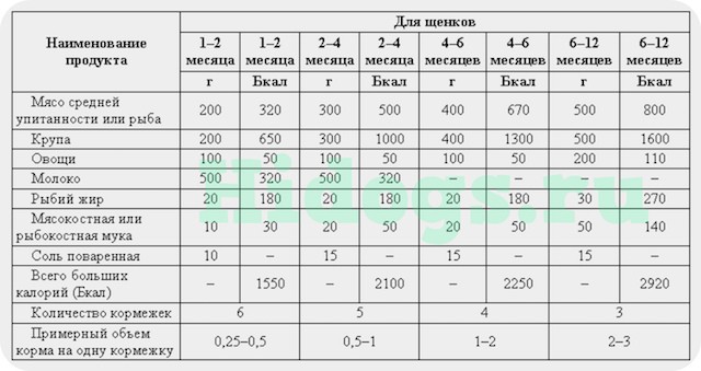 С какого возраста и чем подкармливать щенков?