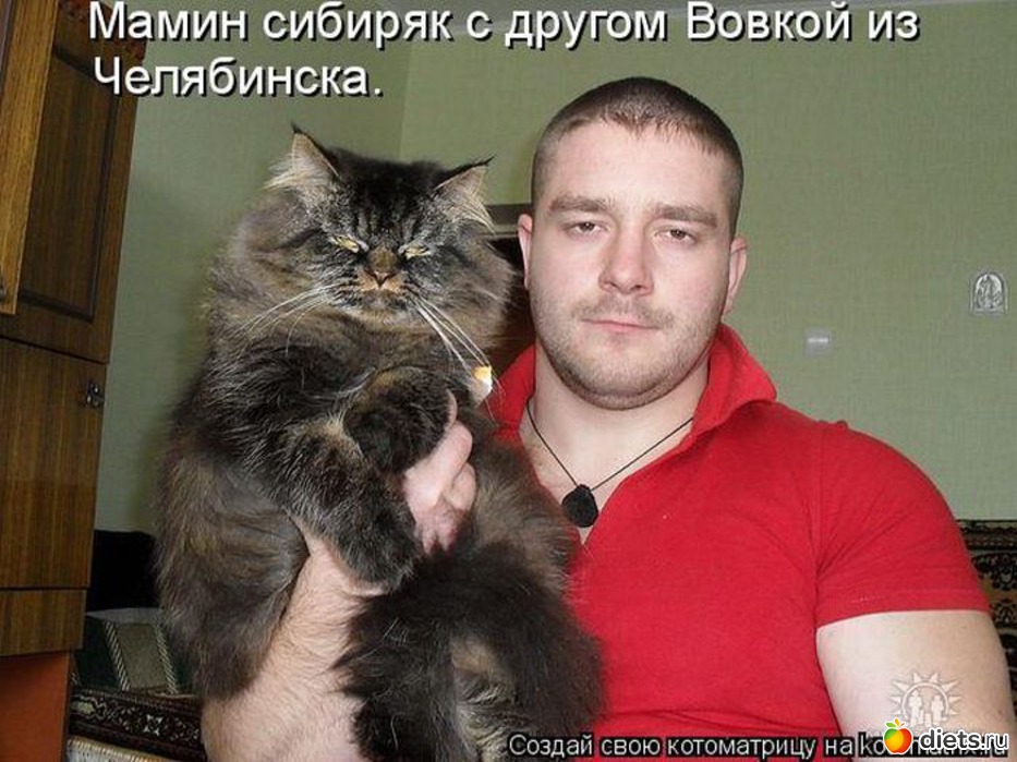 Как и о чем думают кошки. кошачья логика или как мыслят кошки