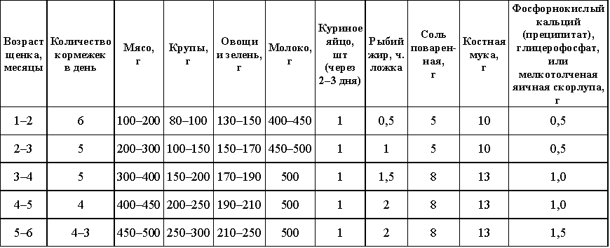 Со скольки можно давать корм щенкам