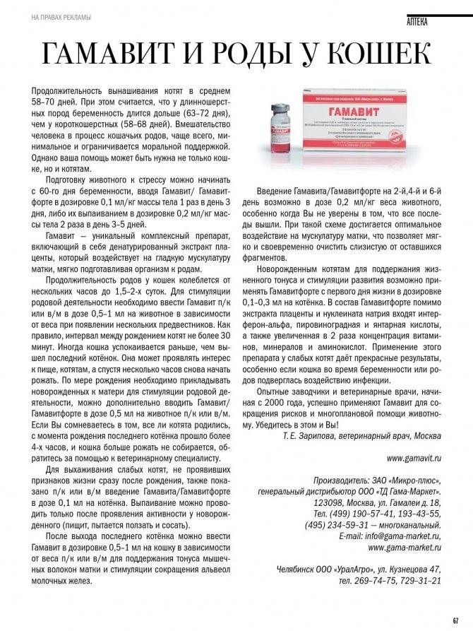 Гамавит для кошек - инструкция по применению, дозировка, перорально, выпаивание котят, как колоть