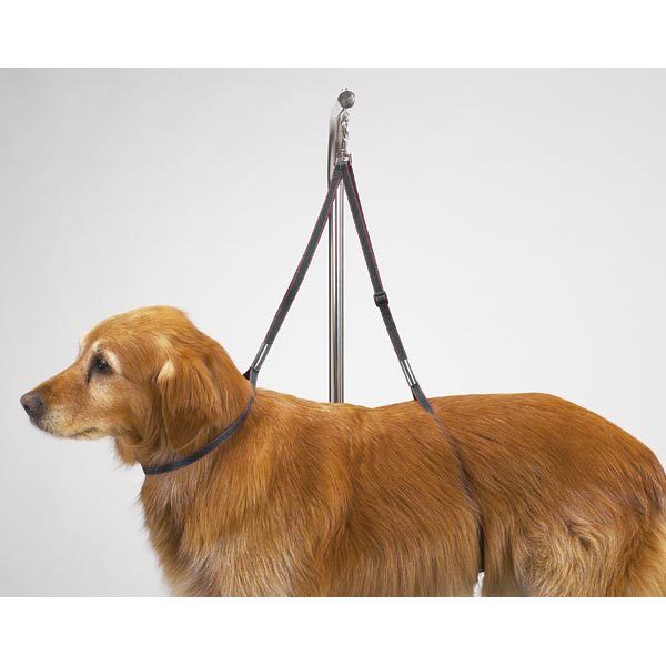 Стол для груминга и стрижки собак: раскладные и сделанные своими руками