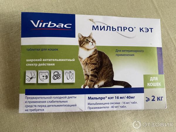 Антигельминтные препараты широкого спектра действия для человека. Мильпро Кэт. Антигельминтные препараты для кошек. Корм ы пакетиках дл кошек. Кровоостанавливающее средство для кошек.