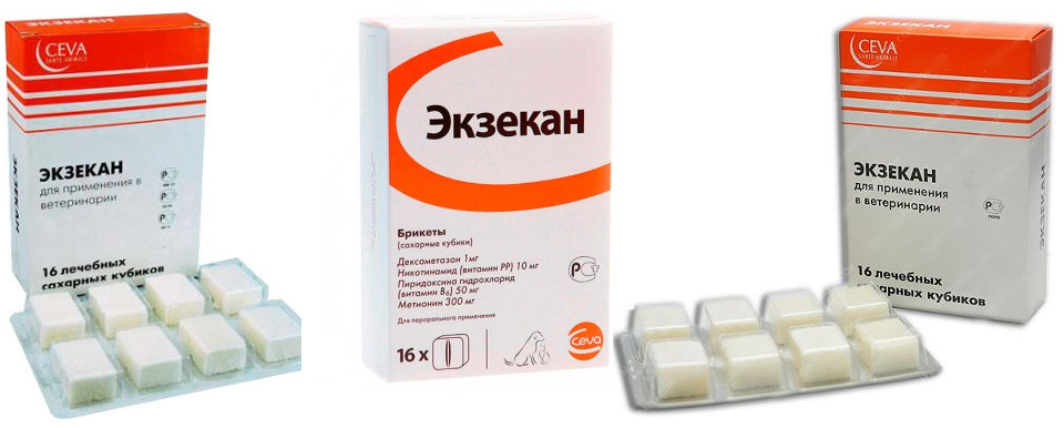 Экзекан для кошек: инструкция по применению, дозировка, свойства и особенности лечения
