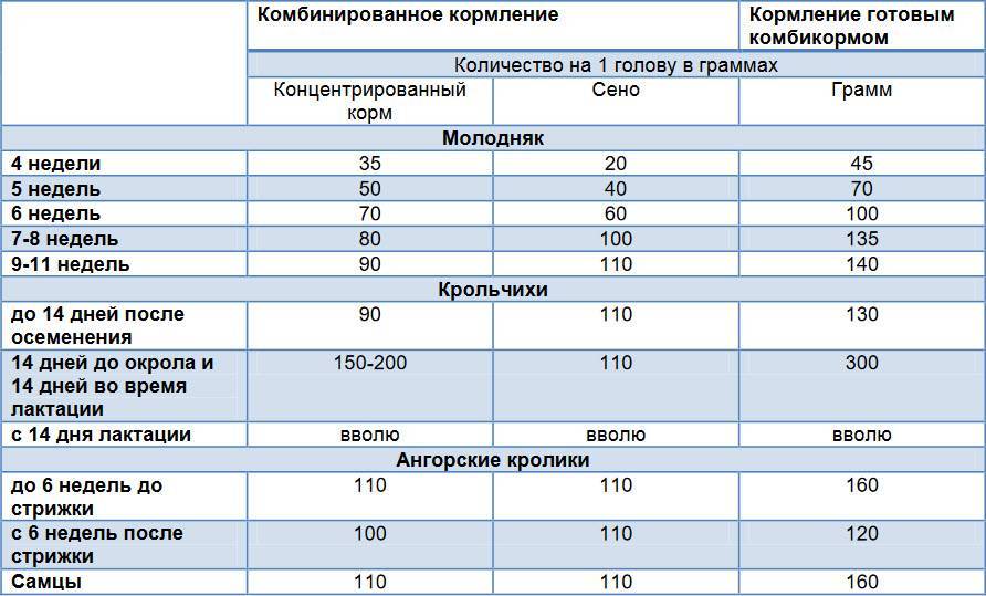 Рацион питания кроликов — что можно и что нельзя давать