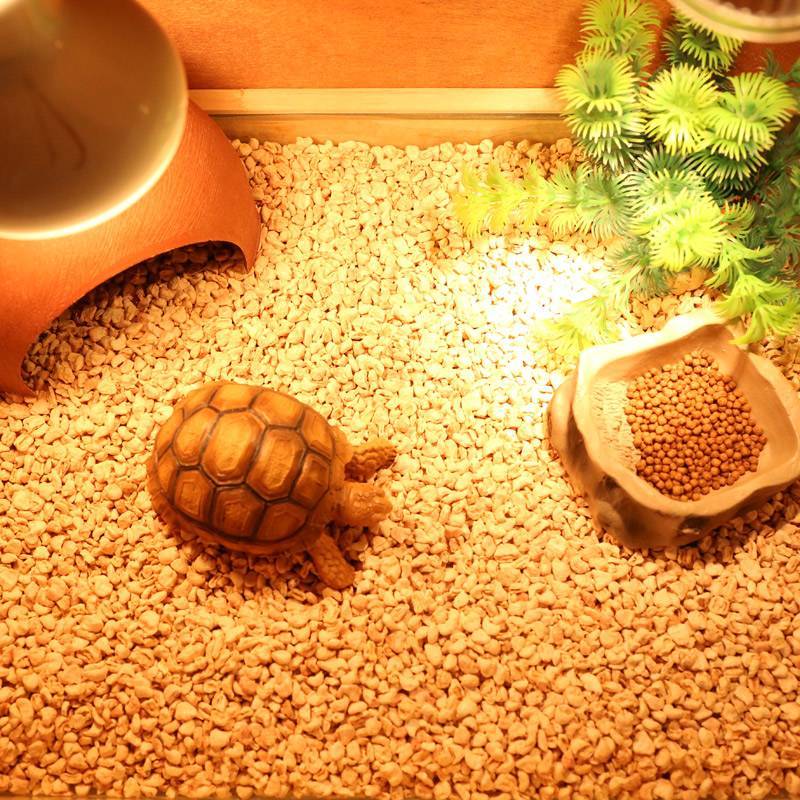 Обустройство террариума для сухопутных черепах: как сделать домик своими руками
