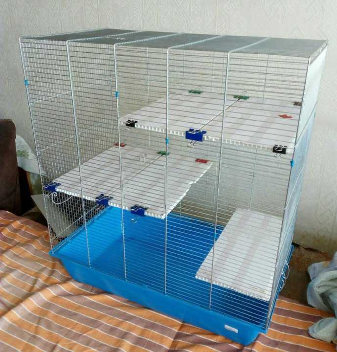 Как сделать и обустроить домик для домашней крысы своими руками