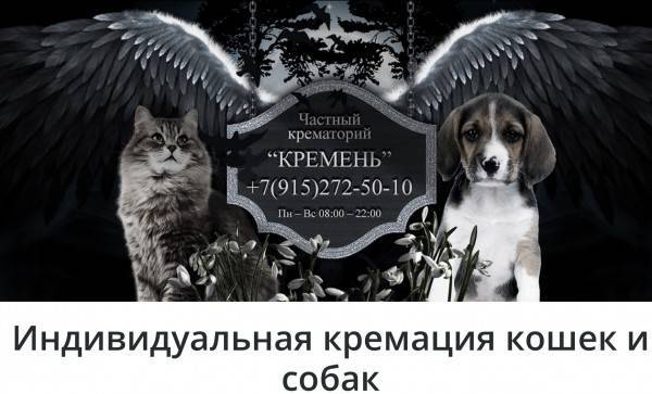 Бизнес идея крематорий для домашних животных - всё о бизнес-идеях и инвестициях