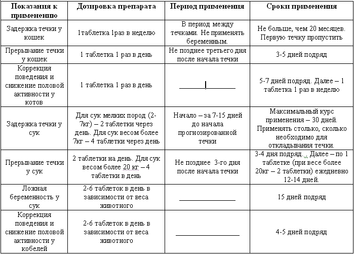 Течка у кошек: фазы полового цикла