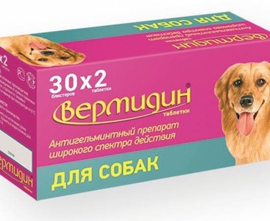Вермидин для собак и кошек: инструкция по применению, описание, противопоказания, побочные действия | препараты | наши лучшие друзья
