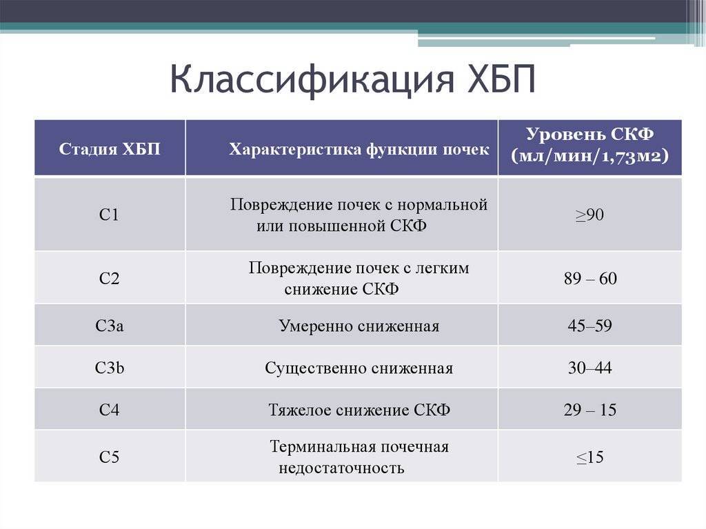Хроническая почечная недостаточность (хпн) у кошек