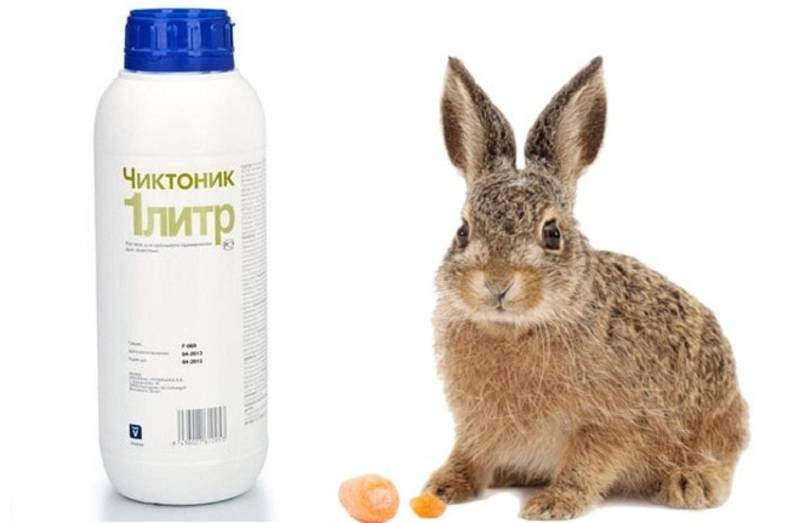 Витамины для кроликов мясных пород в воду: название, инструкция, видео