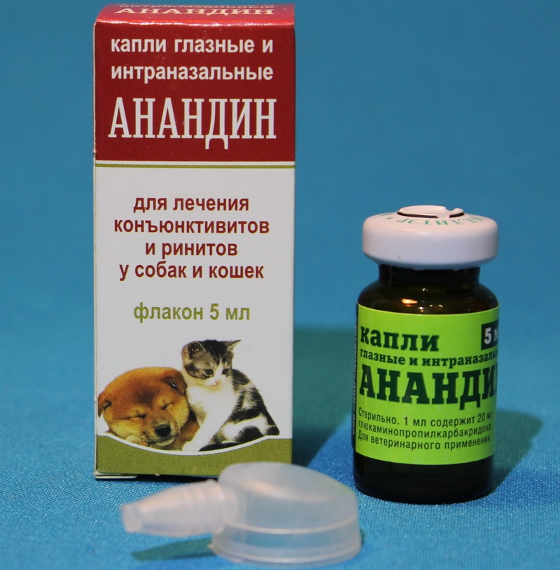 Анандин для собак: инструкции по применению всех разновидностей препарата +видео