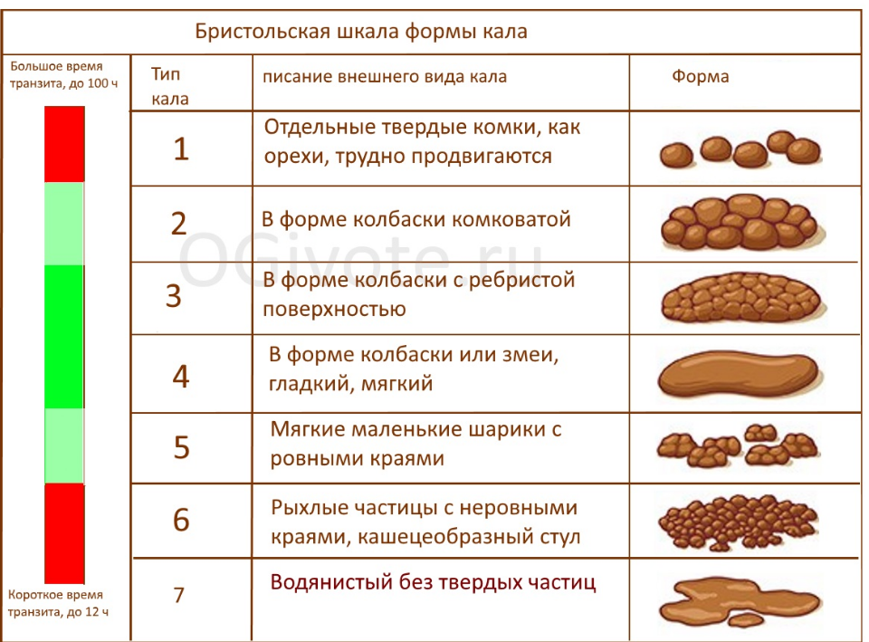 Понос у кролика: причины, симптомы, что делать?