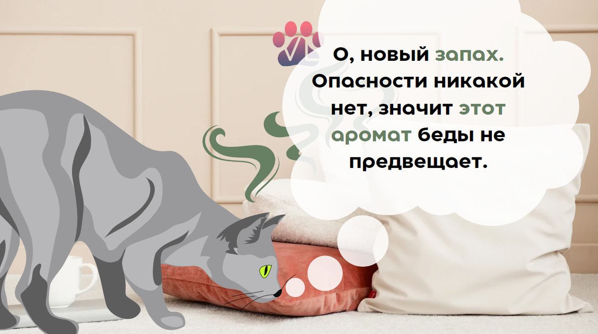 Как подружить двух кошек в одной квартире: первая встреча, адаптация и правила содержания + как помирить животных