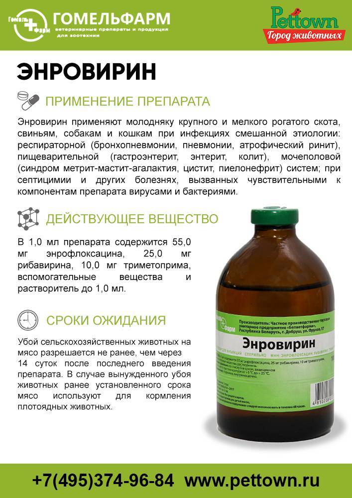 Инструкция по применению ивермека для лечения кошек, дозировка и побочные эффекты, аналоги препарата