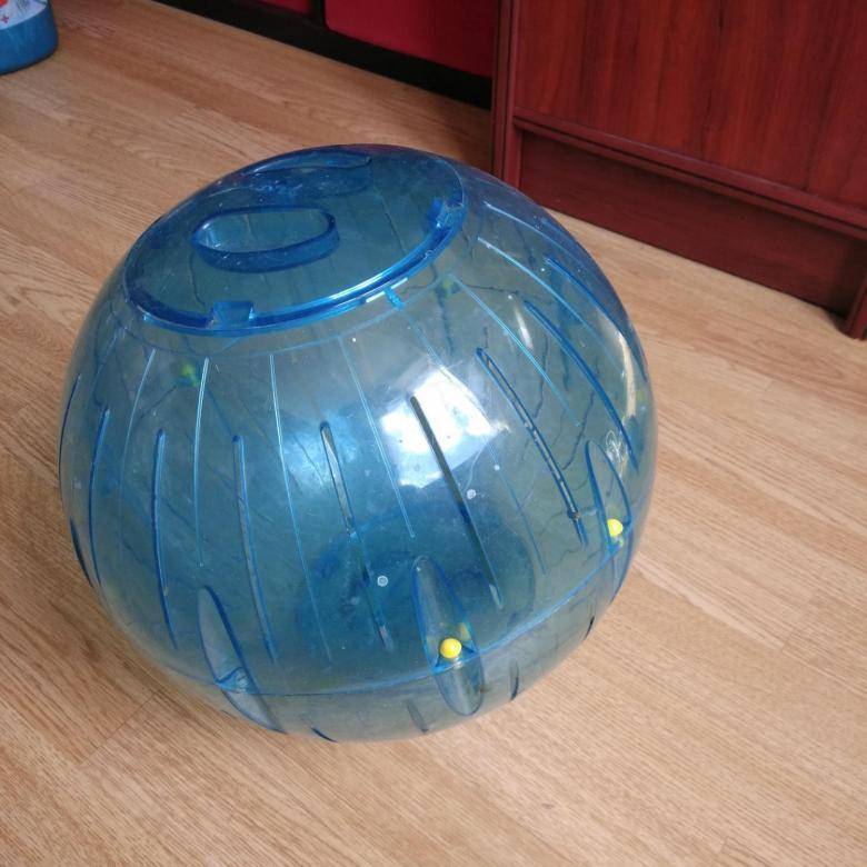 Игрушки для шиншилл