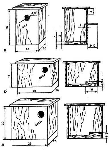 Гнездо для волнистых попугаев: размеры, материалы, форма