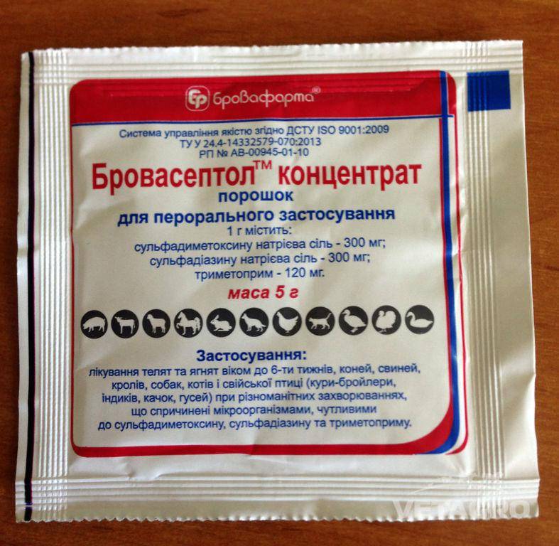 Бровасептол для кроликов – спасение от инфекционных болезней - содержание и разведение кроликов, породы кроликов и советы кролиководам.