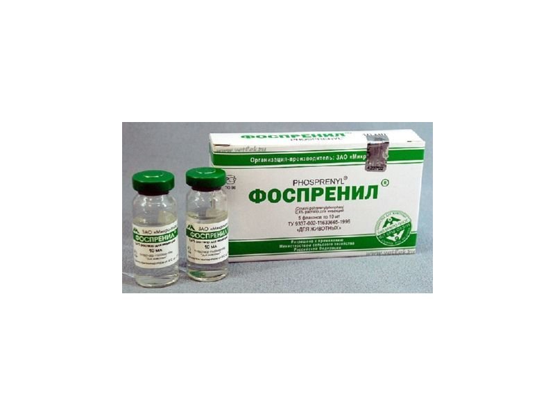 Подробная инструкция по применению фоспренила для собак