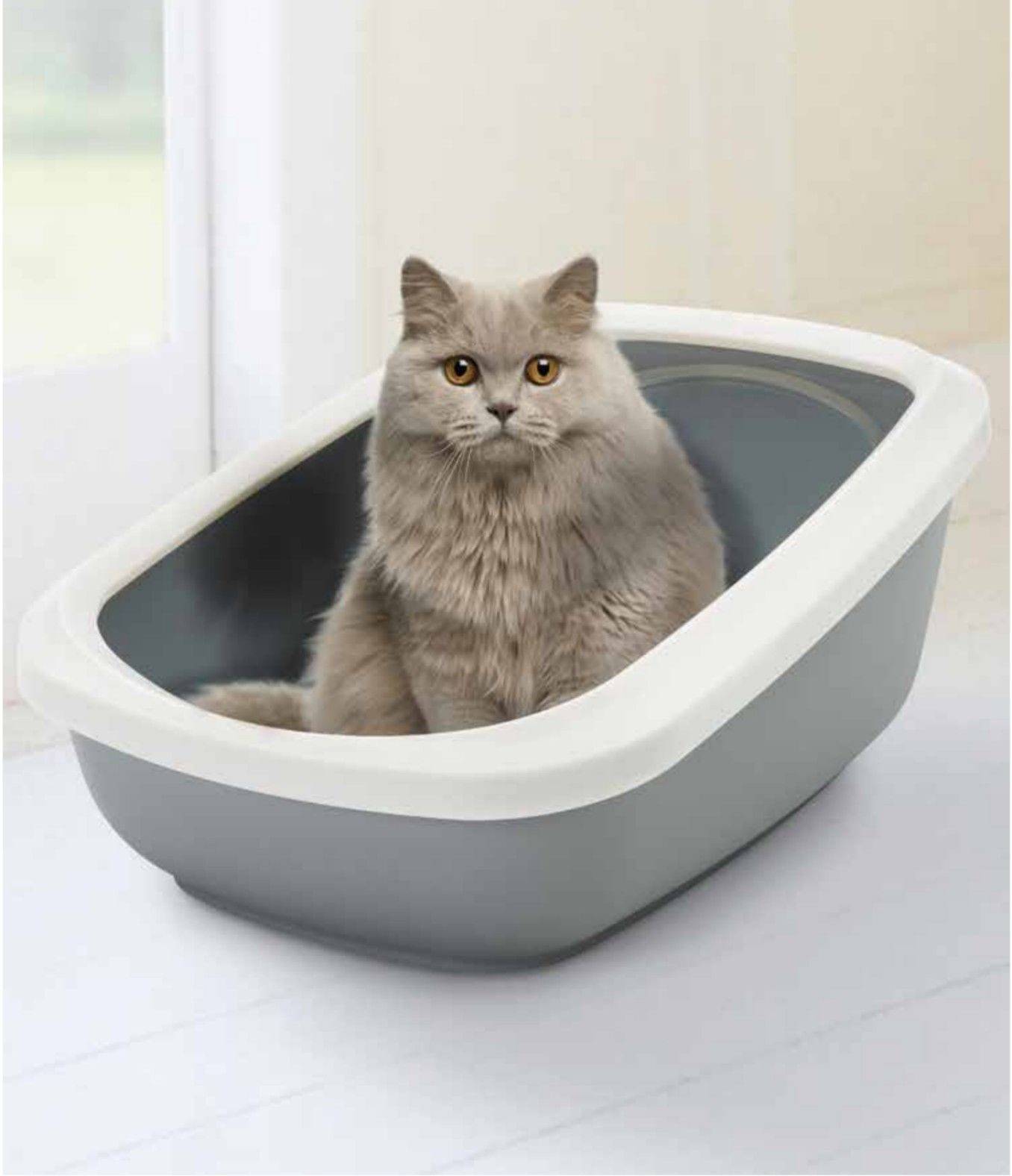 Туалет для кошек Savic aseo Jumbo, с бортом, цвет: серый, 67,5 х 48,5 х 28 см