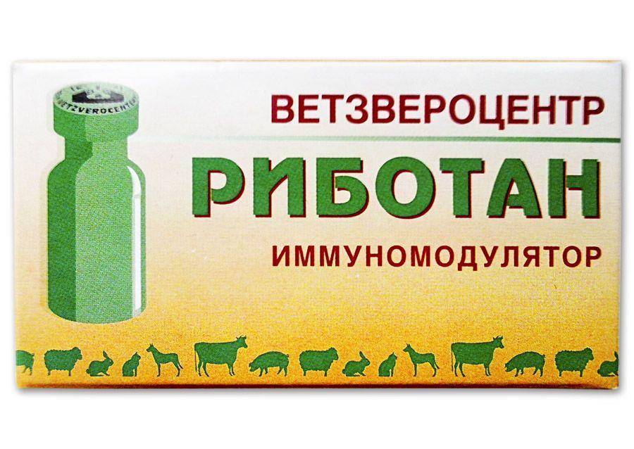 Инструкция по применению препарата риботан для кошек