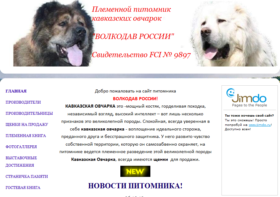 Кавказская овчарка: серьёзный гигант