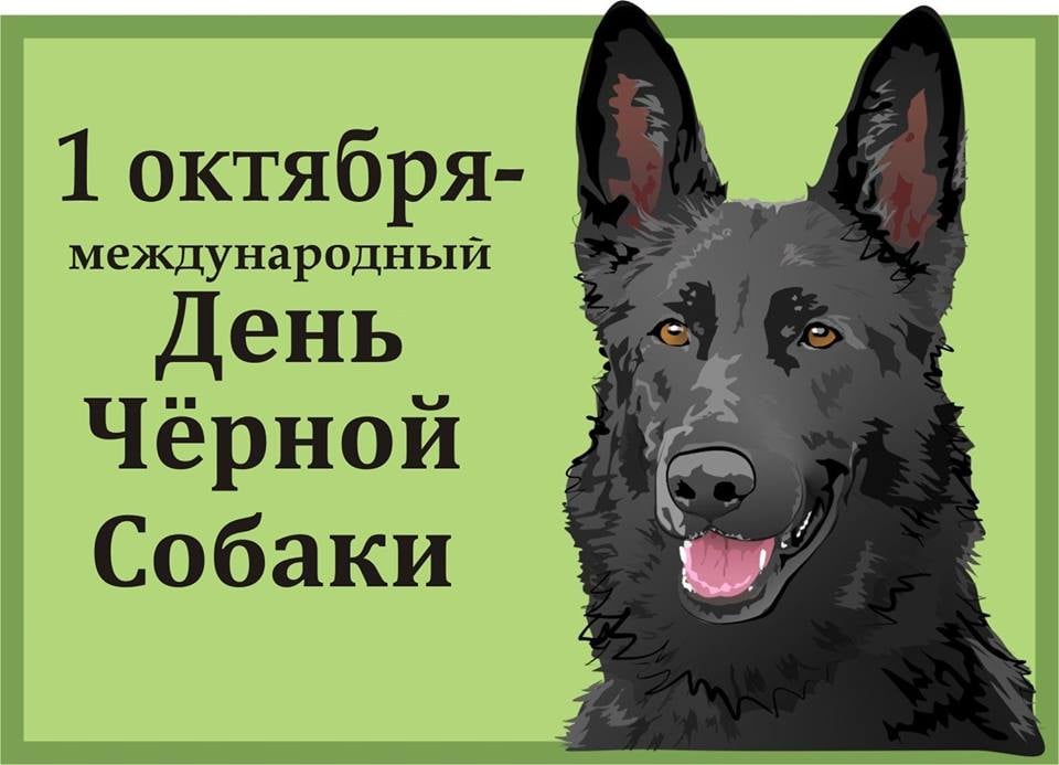 2 июня международный день собак