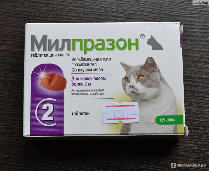 Инструкция по применения милпразона для кошек, показания и противопоказания