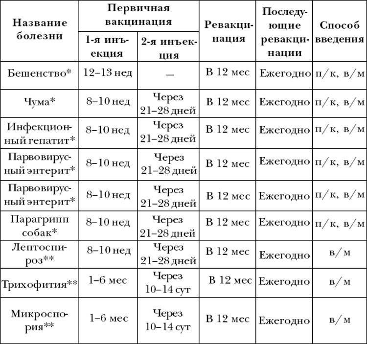 Какие прививки делают хорькам