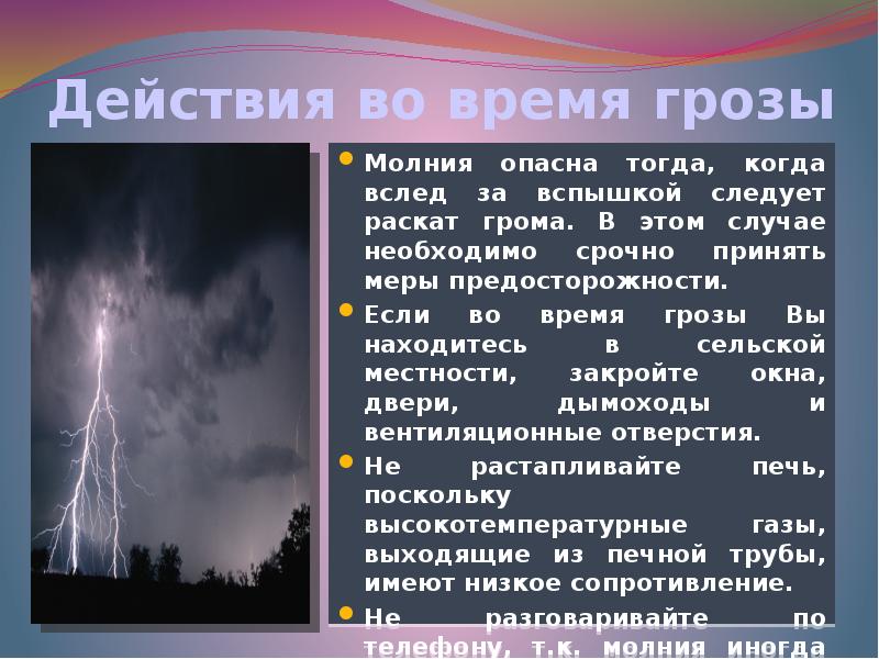 Что делать, если собака боится грозы | блог ветклиники "беланта"