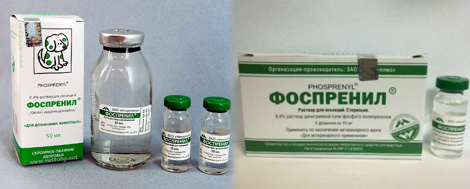 Краткая инструкция по применению препарата фоспренил