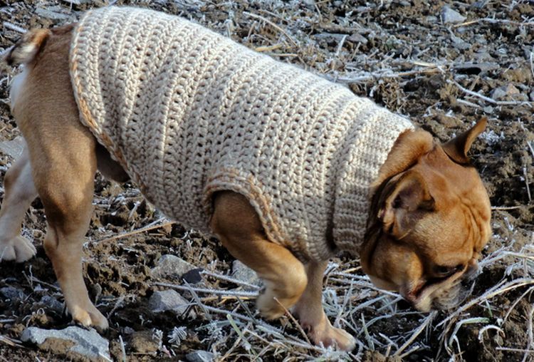 Вязание одежды для собак схема. схемы вязания для маленьких собак. как связать собаке свитер для начинающих спицами. вязание для собак схемы описание, комбинезон, костюм, шапка, спицами, крючком