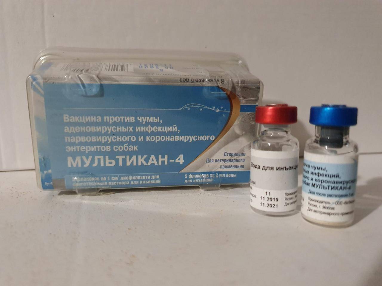 Вакцина мультикан (4, 6, 8) для щенков и взрослых собак: схема вакцинации, для чего делают прививку