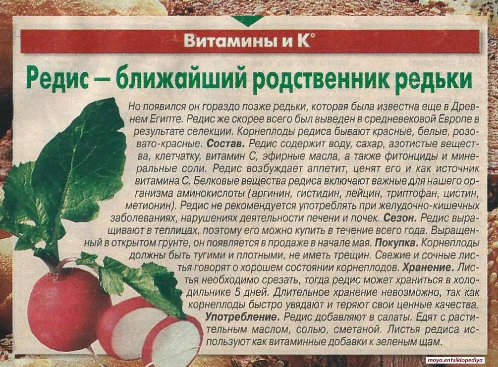 Как кормить хомяков: 10 шагов (с иллюстрациями)