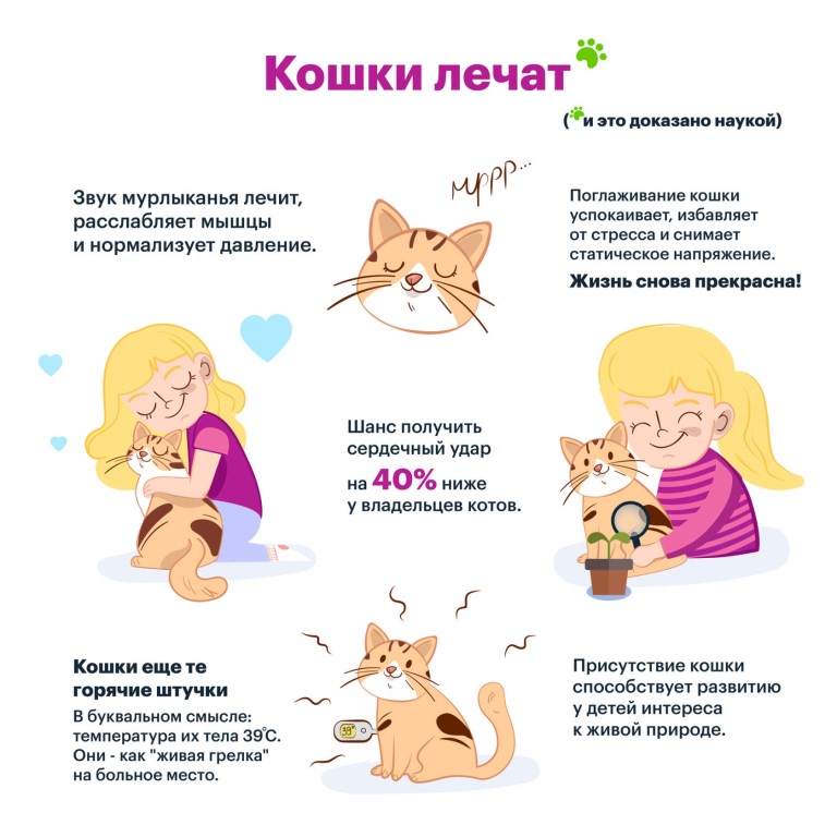 Сколько нужно гладить кота, чтобы избавиться от стресса