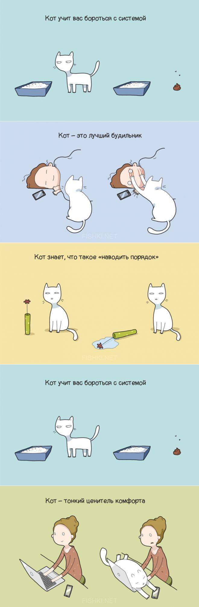 10 научно обоснованных причин завести кота