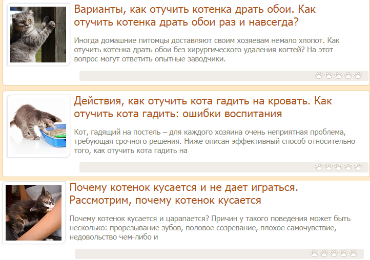 Как отучить котенка кусаться и царапаться — 10 советов