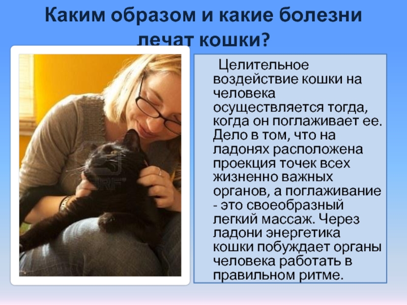 Почему домашний кот нападает и кусает хозяина, шипит, что делать