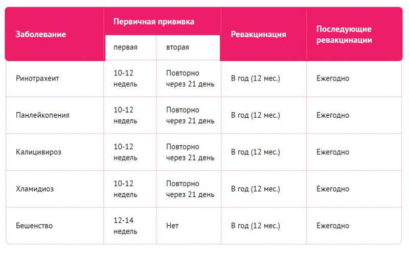 Когда делать прививки котятам