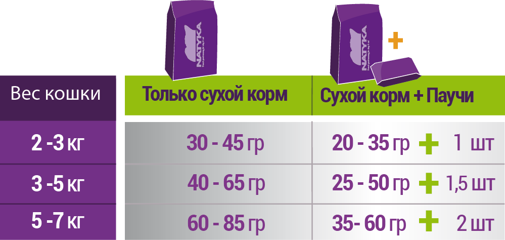 Особенности кормления 3 месячных котят: частота, продукты, рацион